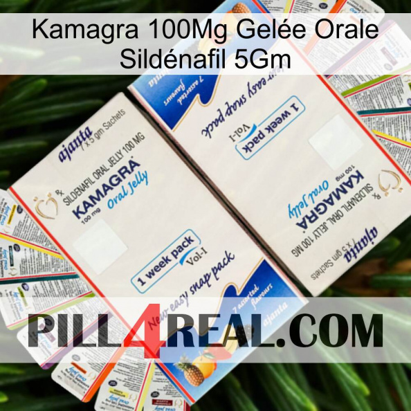 Kamagra 100Mg Gelée Orale Sildénafil 5Gm kamagra1.jpg